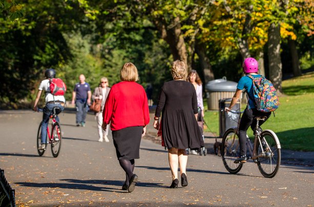 People Walking in the Park